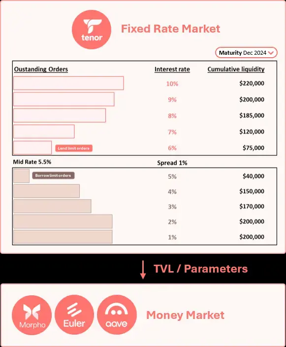 已融资 250 万美元，Tenor 如何通过固定利率匹配借贷双方？|超早期项目关注